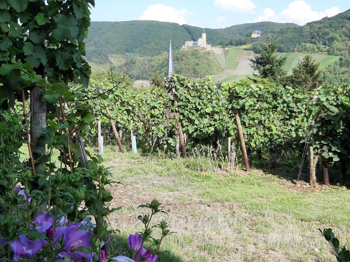 Ferienappartement Lieser Bernkastel-Kues Exterior foto